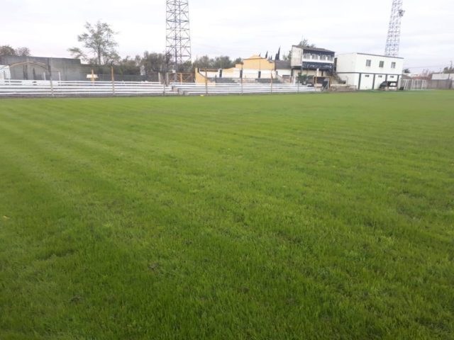 estadio Antonio Mateo Catal