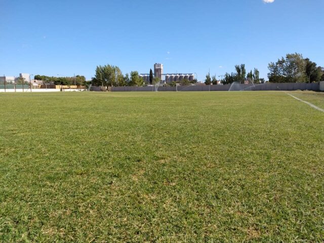 cancha Puerto Comercial