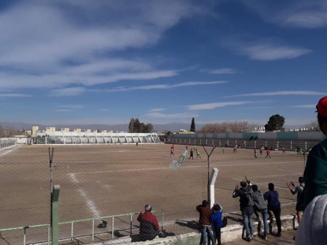 cancha Arbol Verde San Juan