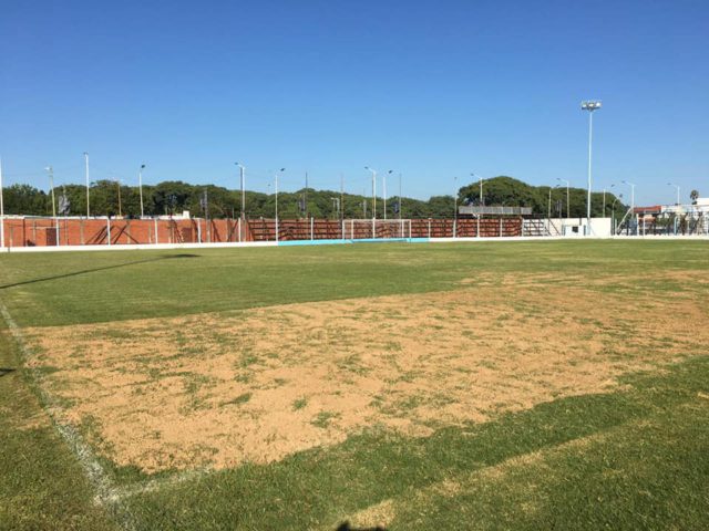 cancha Social Federación