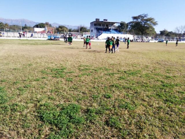 estadio Liga Metanense Fútbol