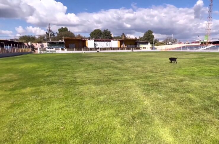 estadio municipal Fuhad Cordi Dean Funes