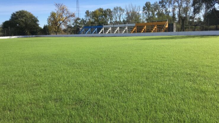 tribuna estadio Carmen de Areco