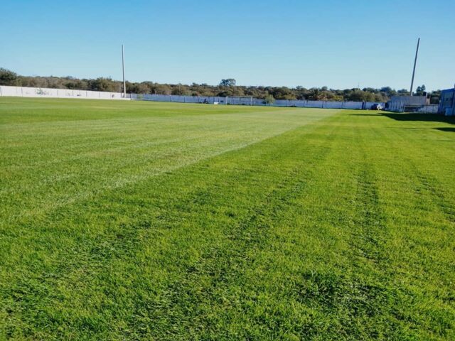 cancha Olayón Club