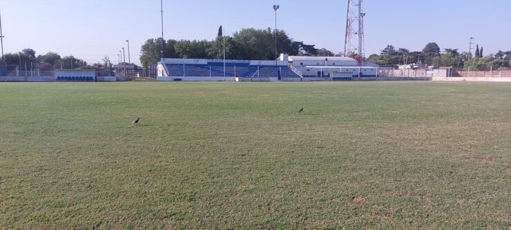 platea Villa Belgrano de Junín