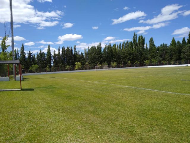 cancha Defensores de La Colonia