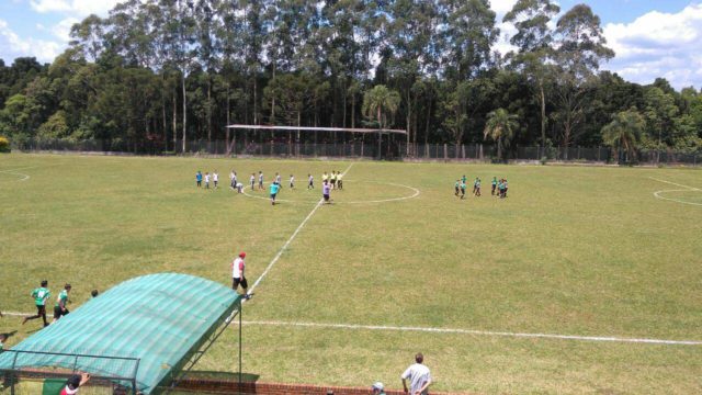 cancha Oro Verde Eldorado