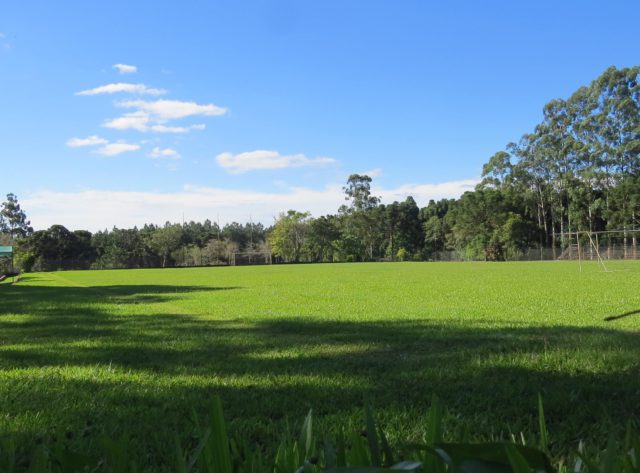 cancha Club Oro Verde Eldorado